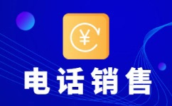 惠州电销服务外包合作模式